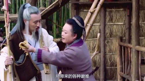 夫人别演了免费观看完整版