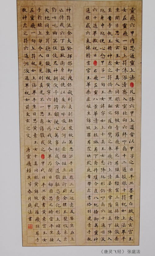 免费观看全集高清，前妻短剧深度解析与欣赏
