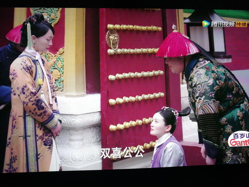 免费观看短剧，太监妃子篇指南
