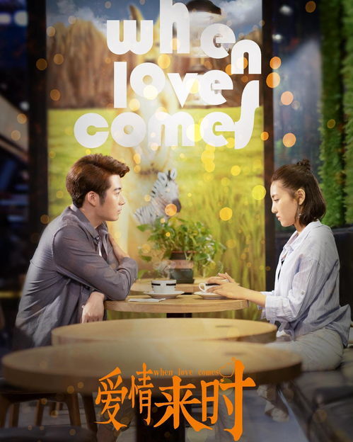 免费观看婚姻悲情短剧全集