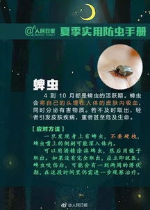 免费观看越狱熊猫短剧第二季的指南