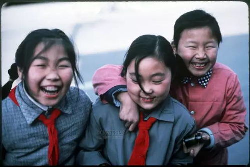 免费观看高清，探索夫妻之道的短剧