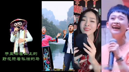 免费观看情歌短剧合集全集