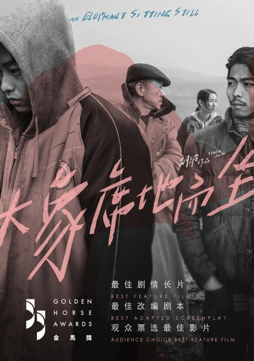 青春救赎，免费观看中文短剧的精彩世界