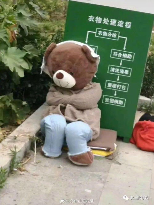 小熊情感短剧，免费观看，体验真挚情感