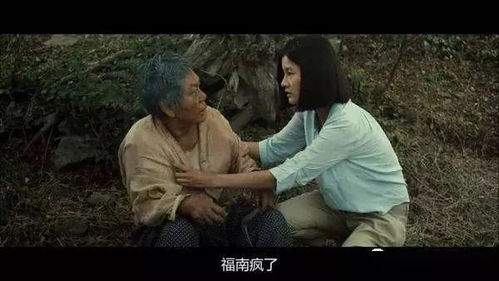 埋伏复仇，全剧免费观看