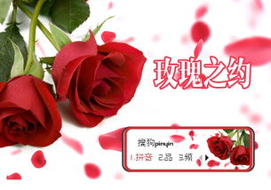 玫瑰之约，一部免费观看的短剧