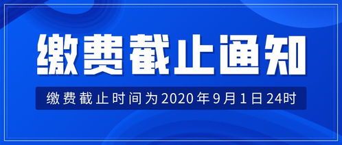 免费观看，极品神医短剧及百度百科