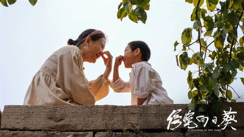 沉思主演，免费短剧的魅力与深度