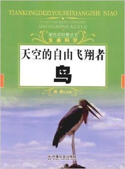 探索未知的天空，短剧魅力与免费观看的快乐之旅