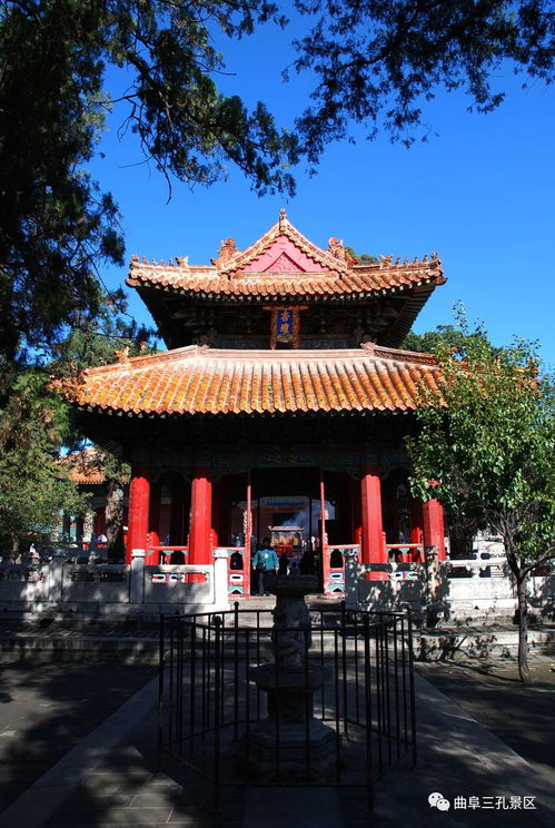古装短剧学堂，免费领略古代文化魅力之旅