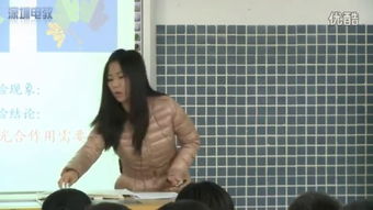 免费观看捡漏短剧全集，乐趣与体验的探索