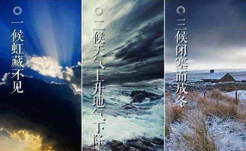 初心如雪，深度解析这部免费短剧的魅力