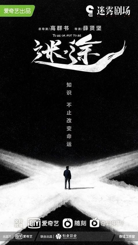 迷途短剧，免费观看全集的精彩世界之旅