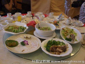 品味生活，免费观看美食短剧，体验嫌弃饭菜的趣味