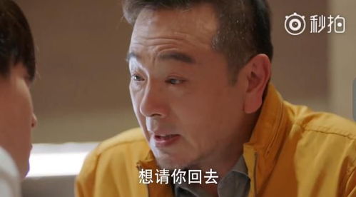 新年免费短剧观看，探索娱乐新潮流的剧情剧