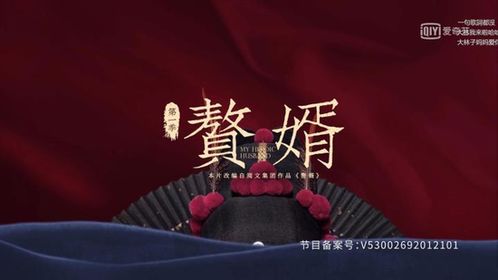 赘婿魅力重温，免费探索热门短剧的乐趣