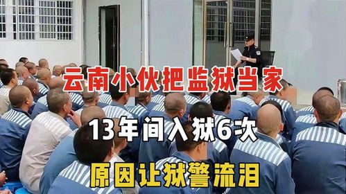 监狱当家，免费短剧新体验