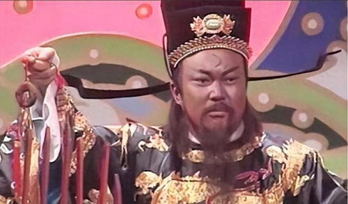 包公智慧与正义全集免费观看