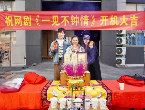免费观看，深夜城市短剧，开启都市夜生活新篇章