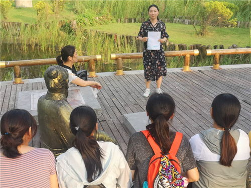 短剧免费观看与环保同行，体验捡垃圾的乐趣与深远意义