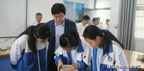 兄弟情深，免费观看温馨短剧指南