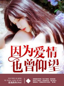 姐夫系列，情感交织的家族故事免费观看