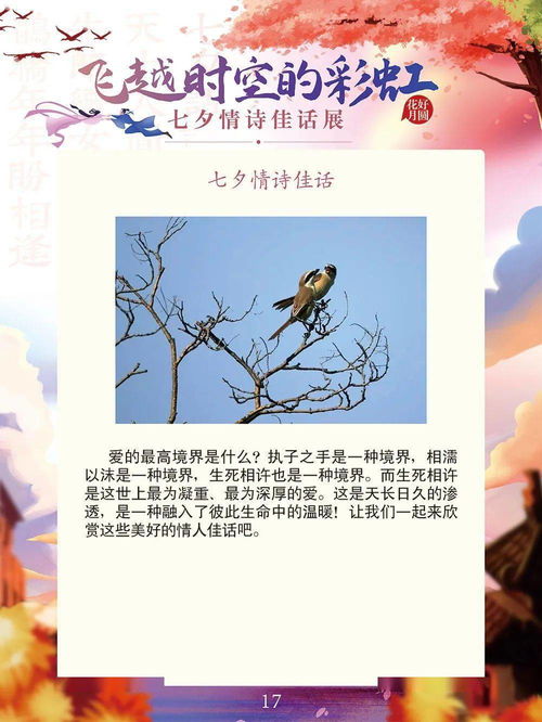 穿越情诗，免费观看的短剧