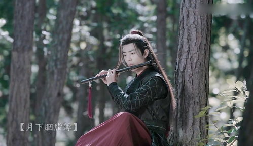 怕死老祖——免费观看的短剧