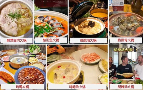 火锅老板，免费观看的短剧