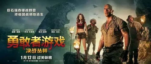 免费观看，惊险刺激的丧尸校园生存战