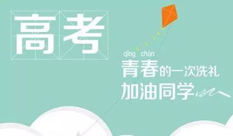 悔悟人生，短剧深度解析与启示
