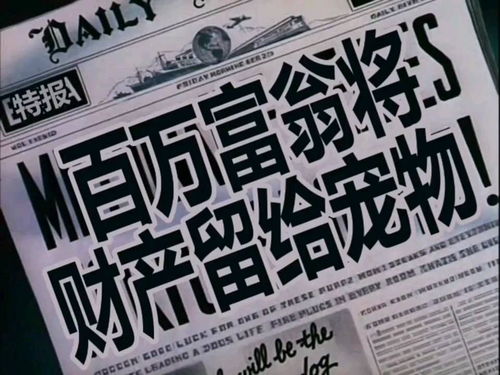 财产争夺战，免费短剧