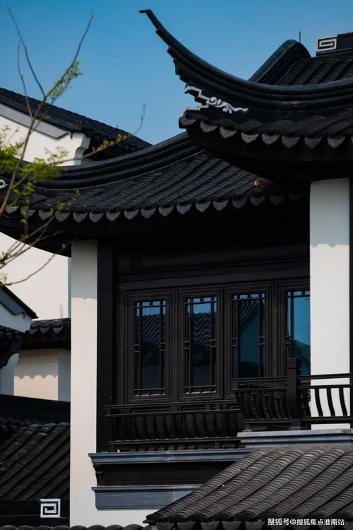 腾龙短剧免费观看，娱乐新选择全解析