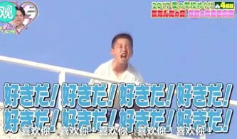 免费观看，精品少年短剧，乐趣无边界