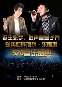 免费观看张宇全集，视听盛宴的深度解析