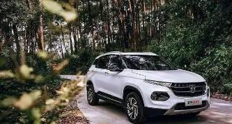 未来报告，免费观看短剧的全新体验 