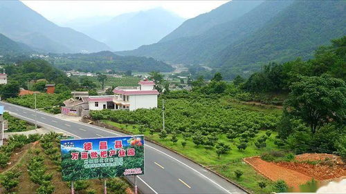 暴富之路，免费开启——网络短剧观影指南 