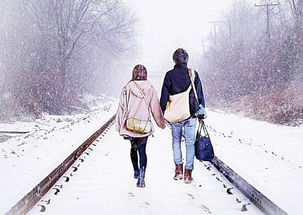 免费观看短剧，女婿回乡——乡愁与亲情的温馨之旅