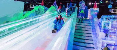 冰雪玫瑰，一部值得免费观看的短剧 