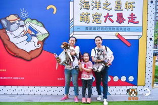 免费观看的六大宠爱短剧推荐