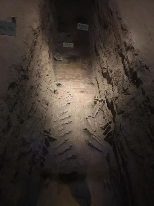 免费心灵之旅，走进生命短剧