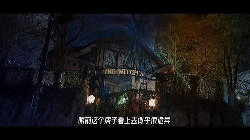 神秘饭店之旅，免费短剧的奇幻体验