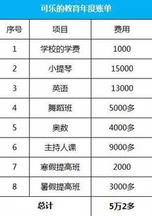 暑假账单揭秘，四五万的花费究竟去向何方？