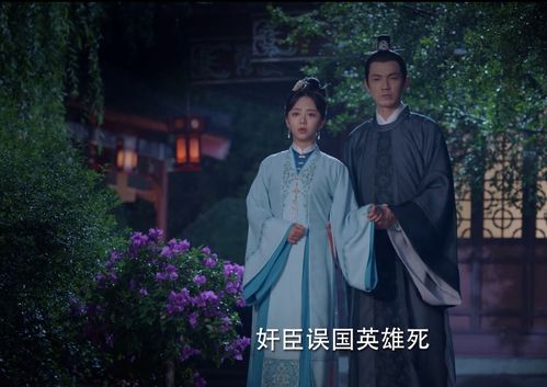 火爆赘婿短剧，免费观看的魅力之旅 