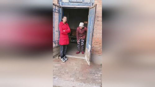 和谐共筑，婆媳关系正能量短剧