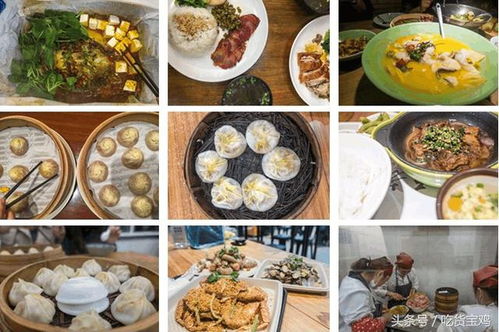 免费观看，谁是厨神？一场美食短剧的精彩之旅 