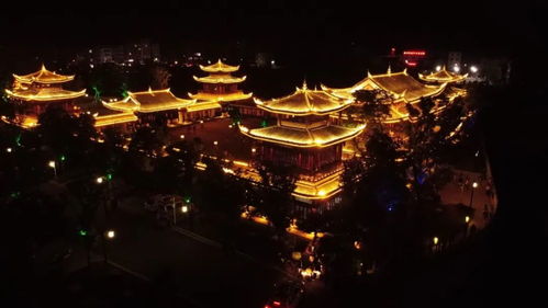 青龙潜龙短剧，免费观看的精彩体验之旅