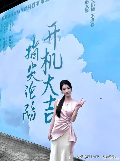 免费观赏，高冷女神的短剧盛宴，视觉与情感的交融体验