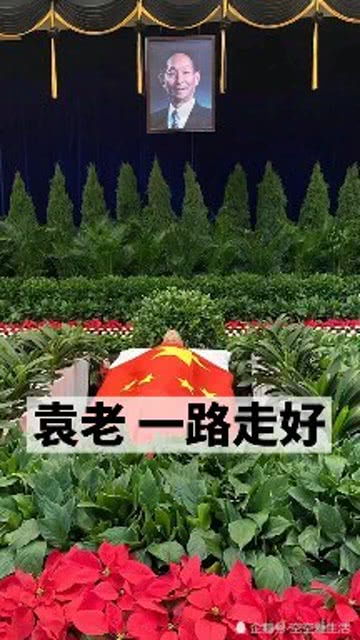 致敬国士无双，追忆袁隆平，短剧免费观看